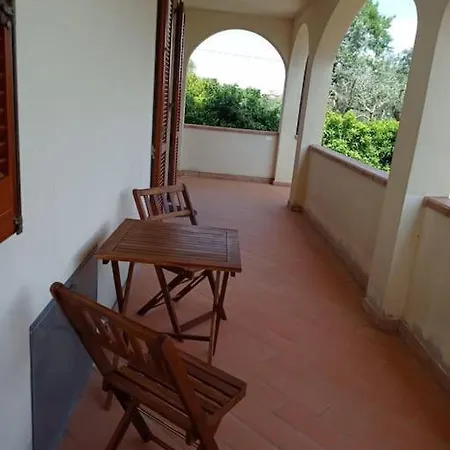 Lavanda * San Vincenzo