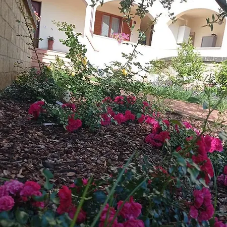 Lavanda Apartment San Vincenzo