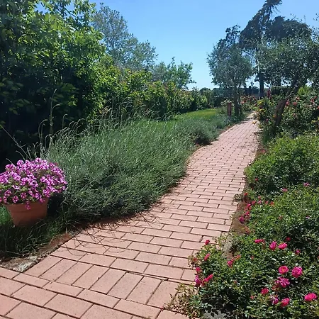 Lavanda Apartment