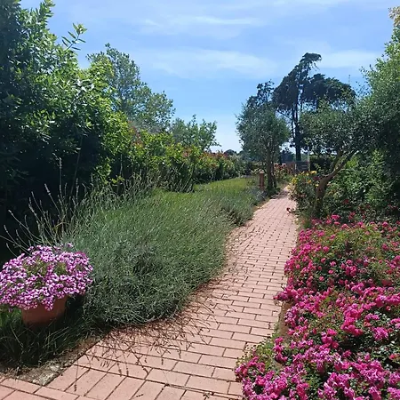 Apartment Lavanda San Vincenzo